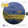 Finlandia - Divisionale Ufficiale 2010 II FDC