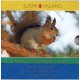 Finlandia - 2€ Comm. 2004 - 2009 FDC (Scoiattolo) in Folder