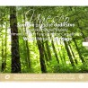 Slovacchia - Serie UNESCO 2019 FDC