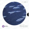 Finlandia - Divisionale Ufficiale 2016 FDC
