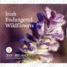 Irlanda - Divisionale 2020 FDC