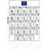 Kit Foglio Aggiornamento 2 Euro Comm. 2022 - Euro Junior