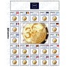 Kit Foglio Aggiornamento 2 Euro Comm. 2022 35° Erasmus - Euro Junior
