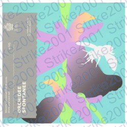 San Marino - Divisionale Ufficiale 2025 FDC con argento
