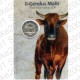 Malta - 2€ Comm. 2025 FDC Bue Maltese in folder