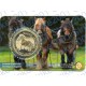 Belgio - 2,5€ 2026 FDC Cavallo da tiro in folder - (Francia)