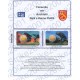Kit Foglio Finlandia 2 Euro Comm. 2026 Architetti Raili e Reima in folder
